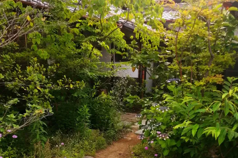 膵臓の機能は何ですか?