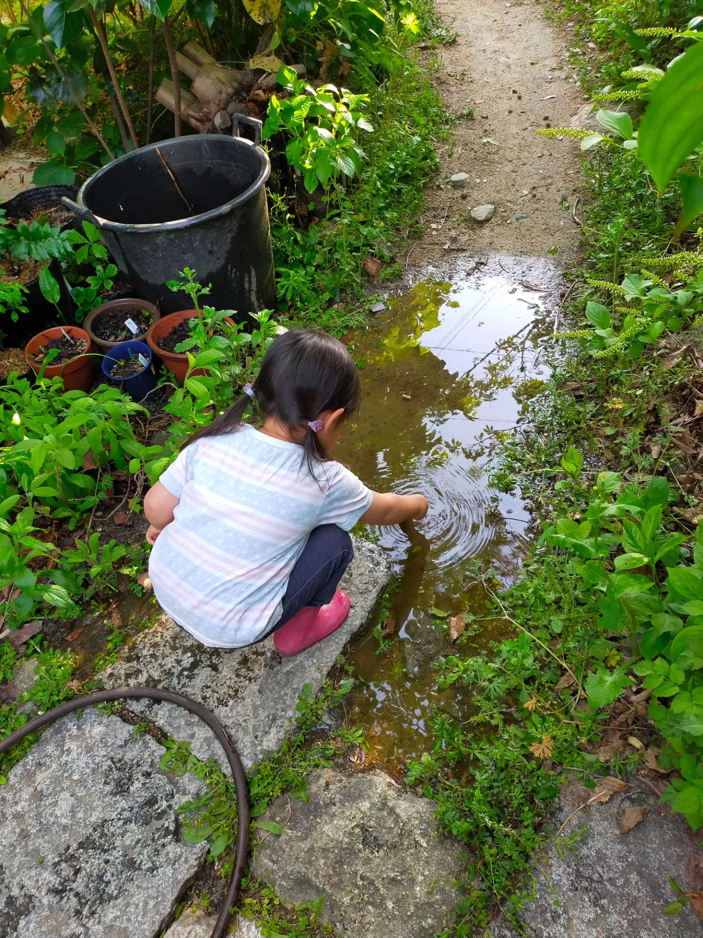 お庭の水やりのコツ　いつ、どのくらい水やりをしたらいい？