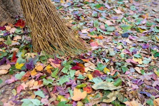 落ち葉掃きを楽にするには　②便利な道具を使おう