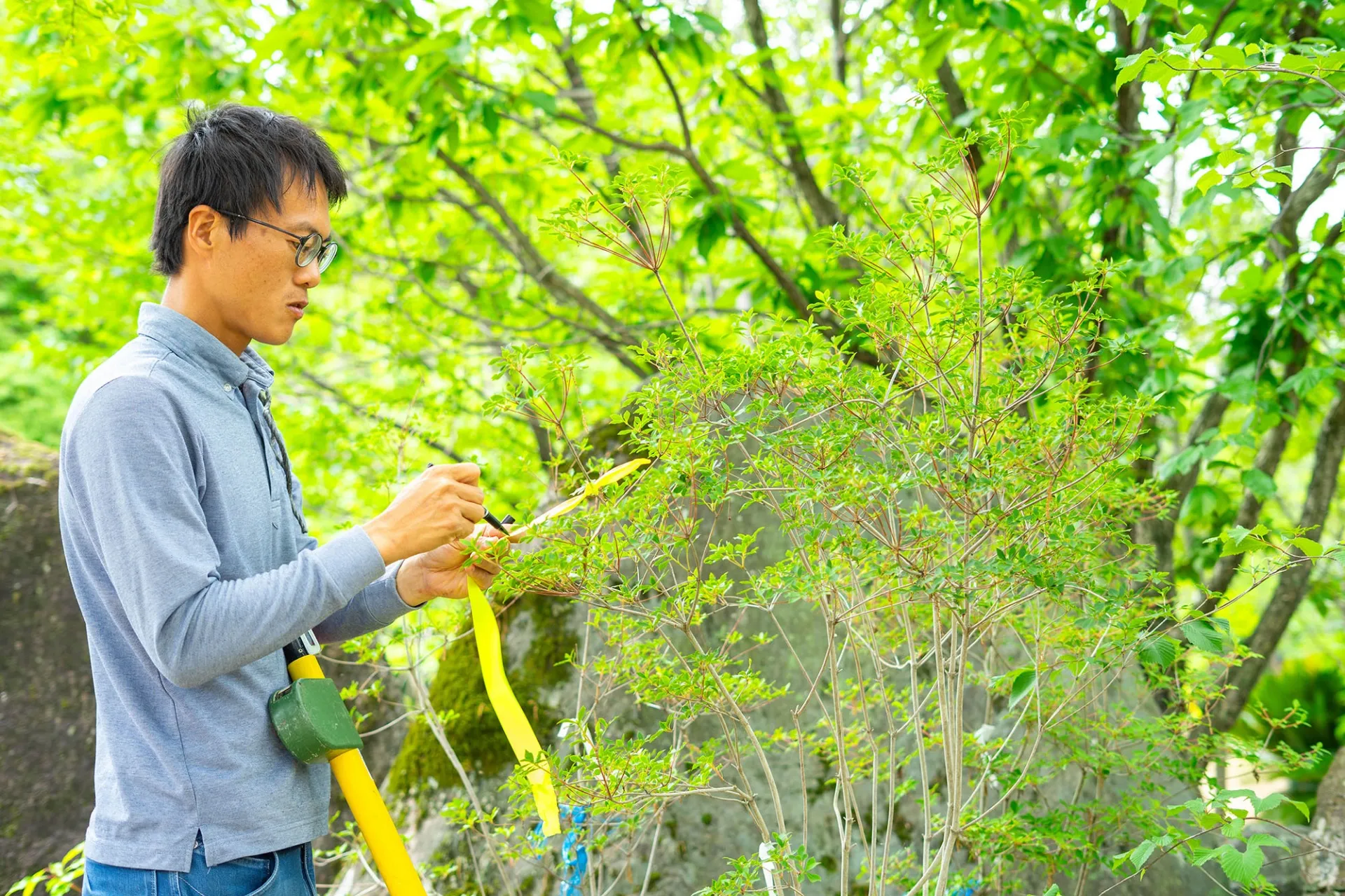 みどりのある暮らしを一緒に育てる。私たちが庭づくりで大切にしていること