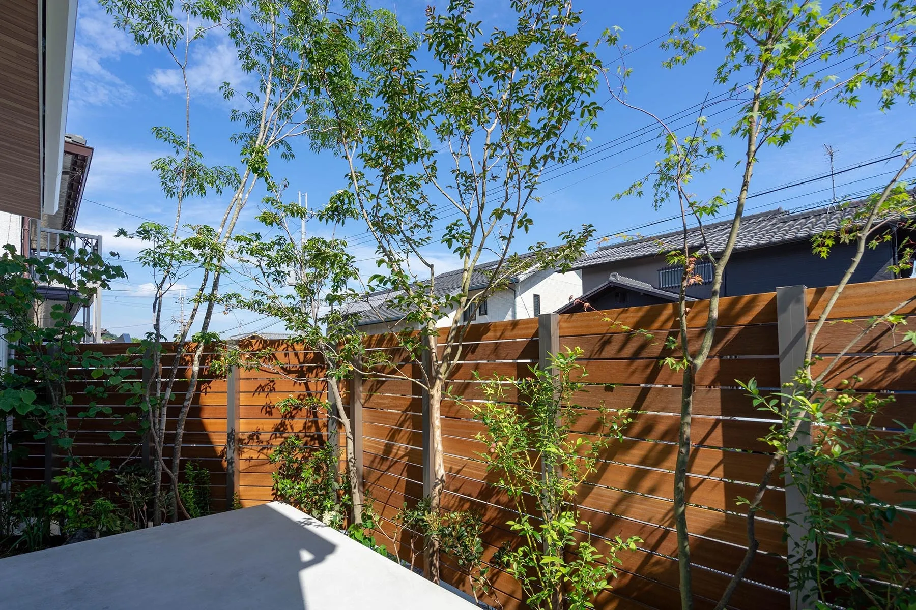 室内と外を緑で繋ぐ、心地よい外構デザイン