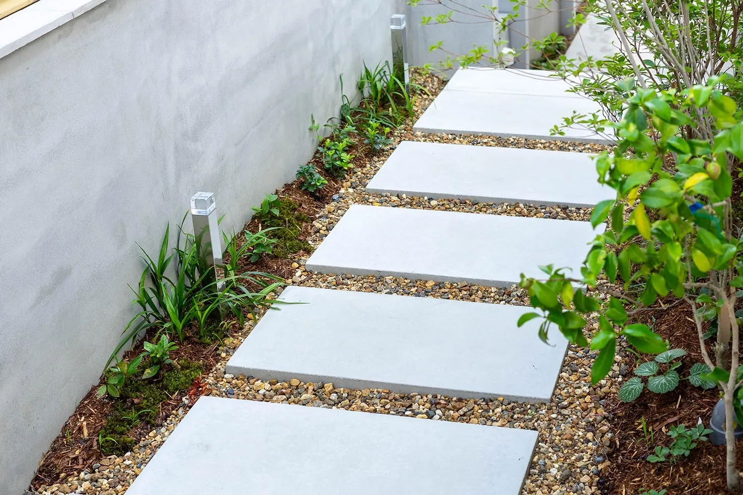 室内と外を緑で繋ぐ、心地よい外構デザイン