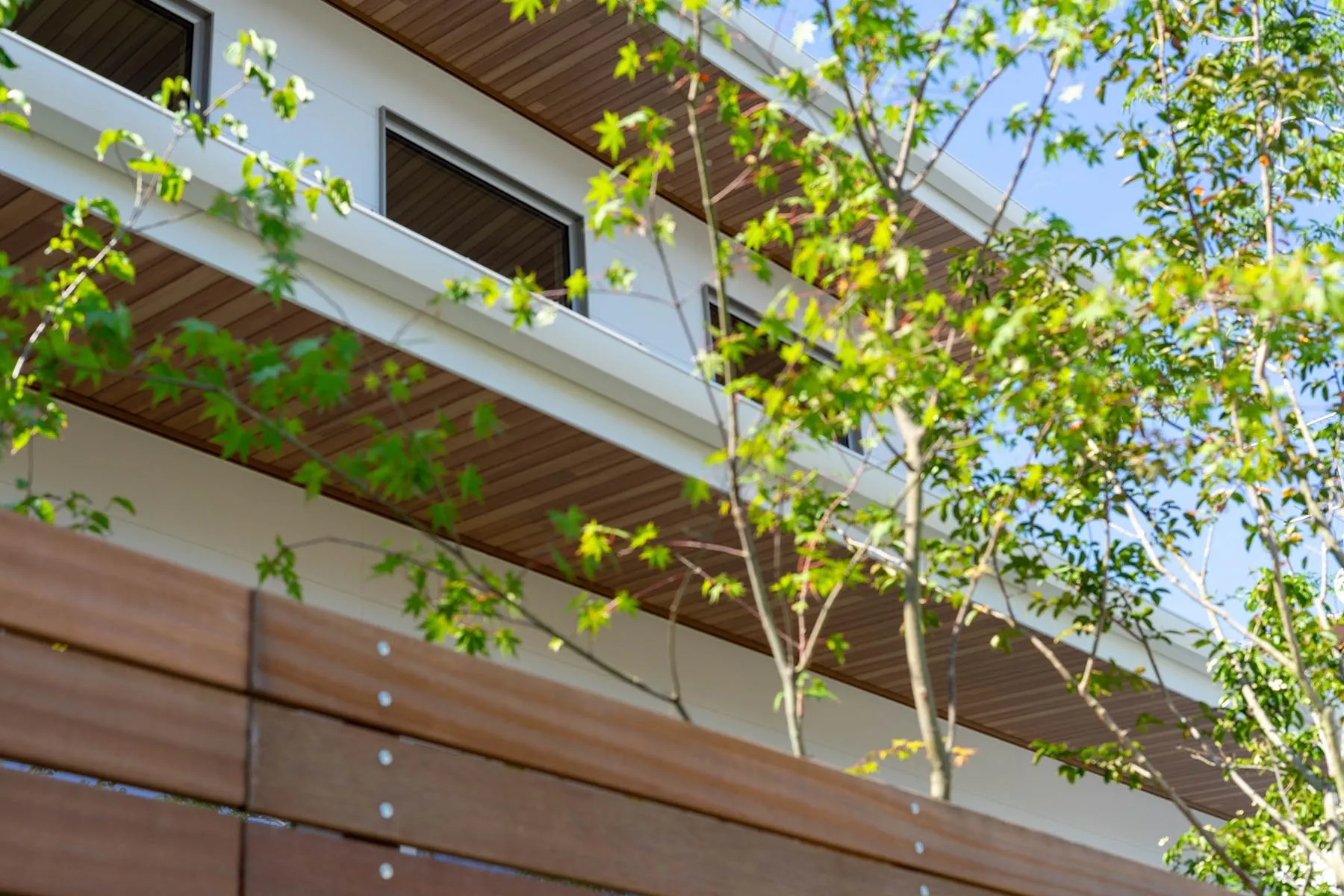 室内と外を緑で繋ぐ、心地よい外構デザイン